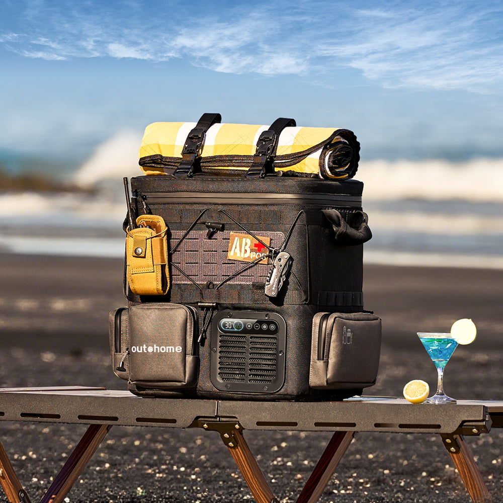 Image of Powering the Cool: Mastering Off-Grid Energy Management with Fo-koko
