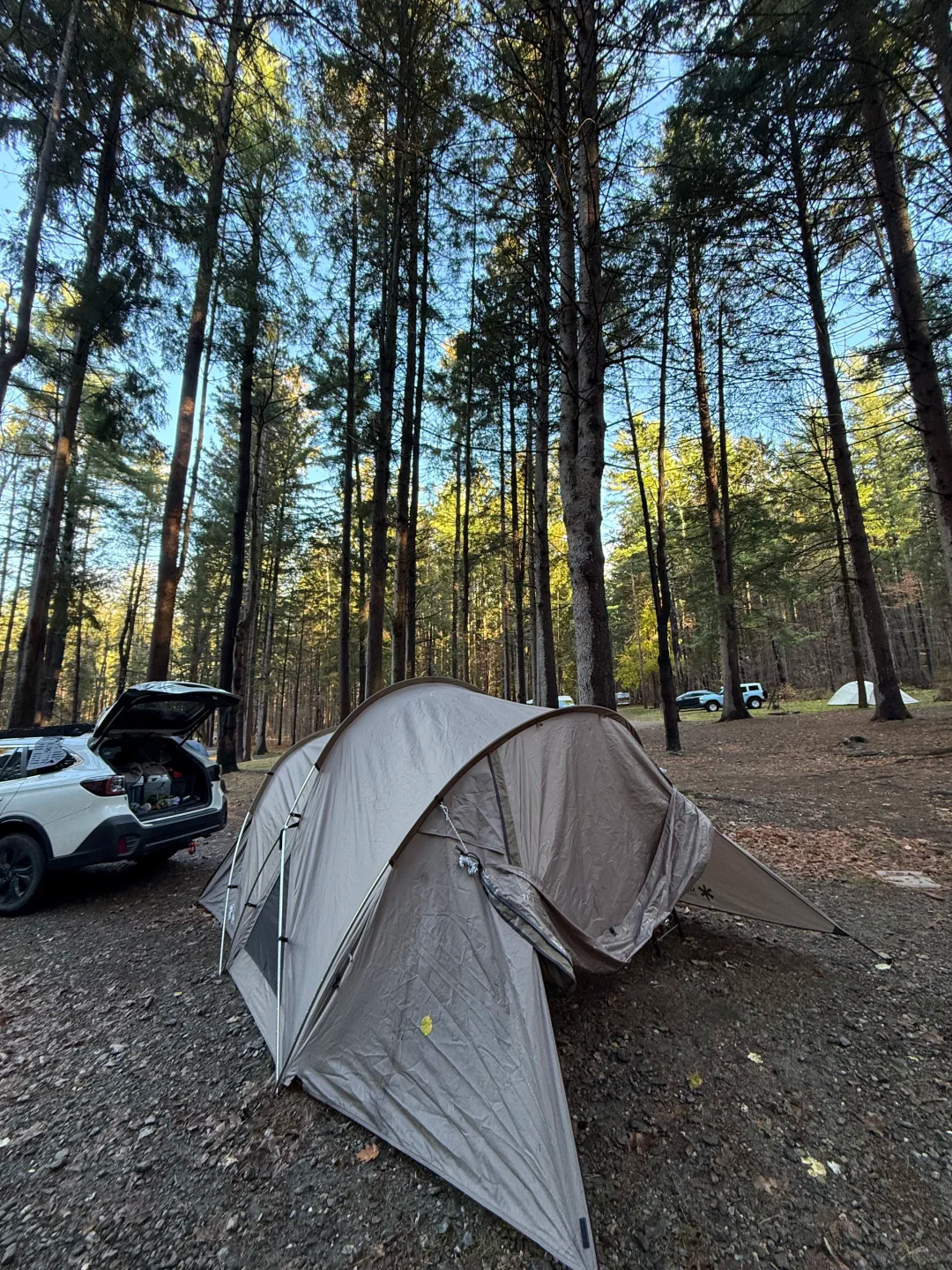 Image of Ditch the Sauna Tent: Why Real Compressor Cooling is a Summer Camp Essential