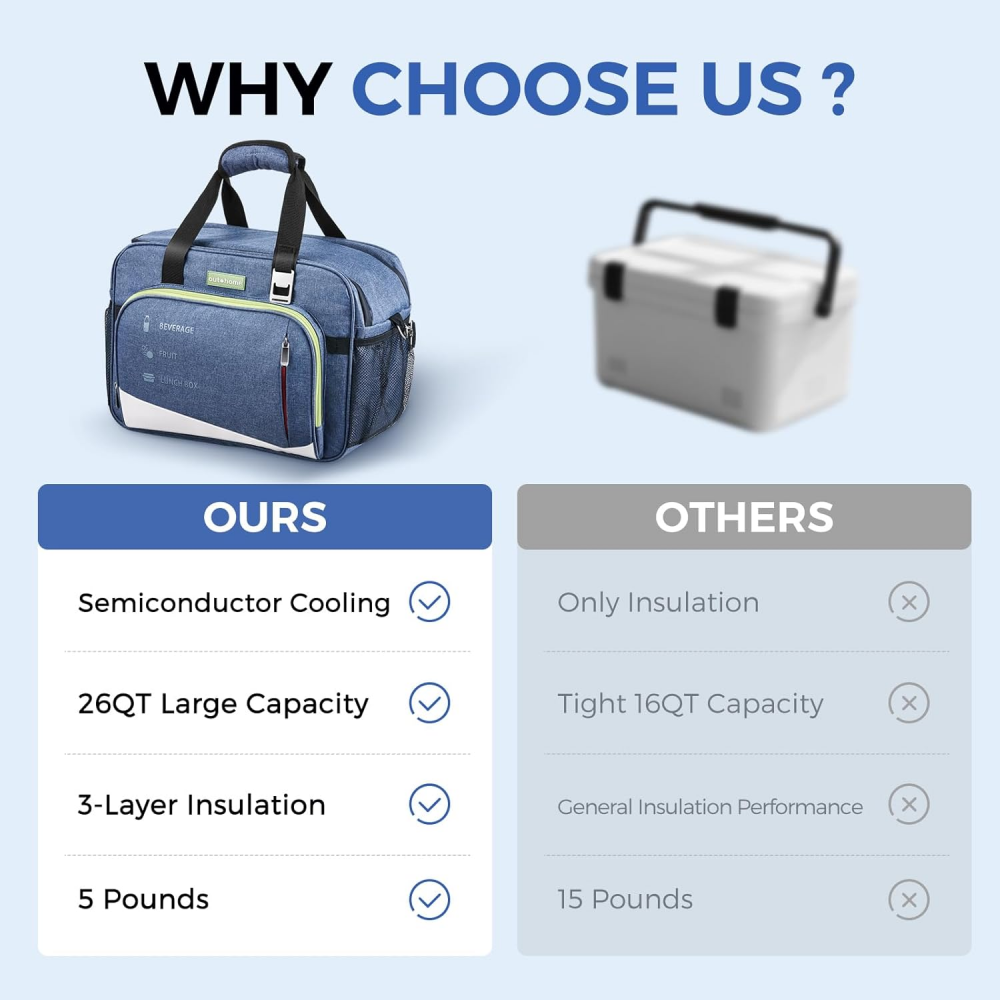 Portable Car Hot And Cold Handbag GEC25-01